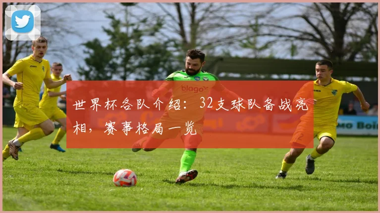 世界杯各队介绍：32支球队备战亮相，赛事格局一览