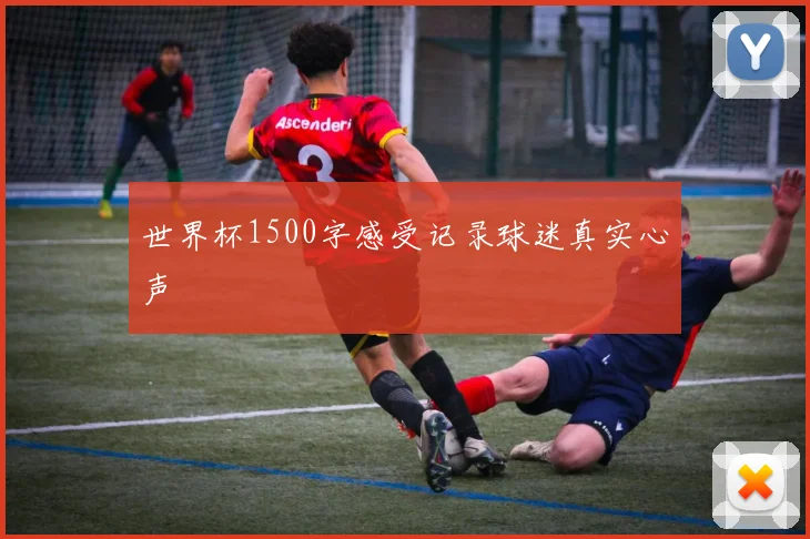 世界杯1500字感受记录球迷真实心声