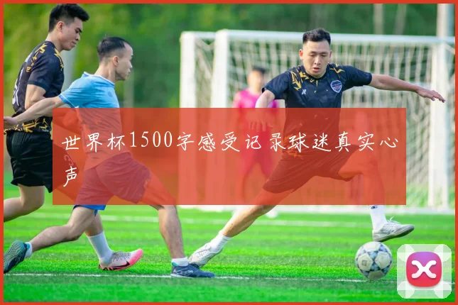 世界杯1500字感受记录球迷真实心声