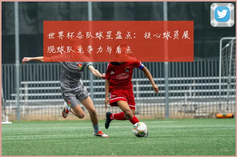 世界杯各队球星盘点：核心球员展现球队竞争力与看点