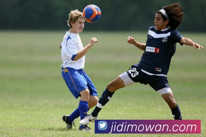 华体育汇APP 封面图